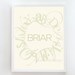16x20 EMBLEM print custom name : Palette No. 40 cream green
