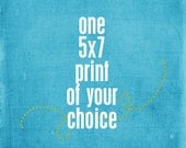 One 5x7 print - your choice