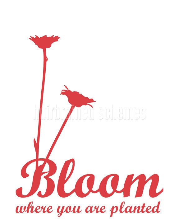 Bloom Where You are Planted - Pale Green Sage Modern Graphic Quote Spring Easter Digital Art Print