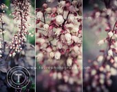 Flower Collage No. 2