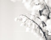 Lily of the valley No. 2