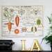 french botanical chart genuine vintage school map, double sided carrot industrial look