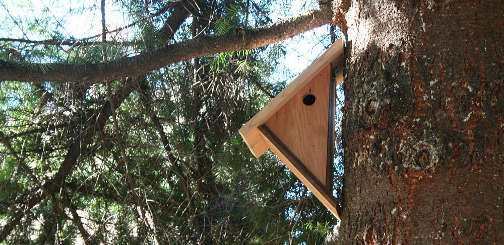 Tiptoe House, upcycled for songbirds, all fresh and planed wood - Pacific Northwest cedar