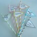60 Pink Stripe & Aqua/Turquoise Stripe Paper Straws w/ Blank Printable Pennants