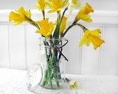 Ball Eclipse Wide Mouth Jar & Lid - VintageRetroDesign