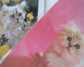 Two Kitten Magnets - Cat - White / Light Gray  - Recycled Playing cards