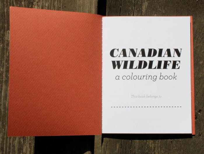 Canadian Wildlife - A Mini Colouring Book