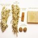 HERBS and SPICES Soap with Aromatic Herbs & Spices -- All Natural Handmade Organic Soap -- Cold process bar soap with Extra Virgin Olive Oil