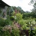 Cottage Garden - 5 x 7" color print
