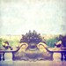 Paris08 Lavender Romantic 8"x8" Photograph For Modern Cafe Bar Pub Hotel Restaurant Nursey Home Office Fine Art Wall Decor
