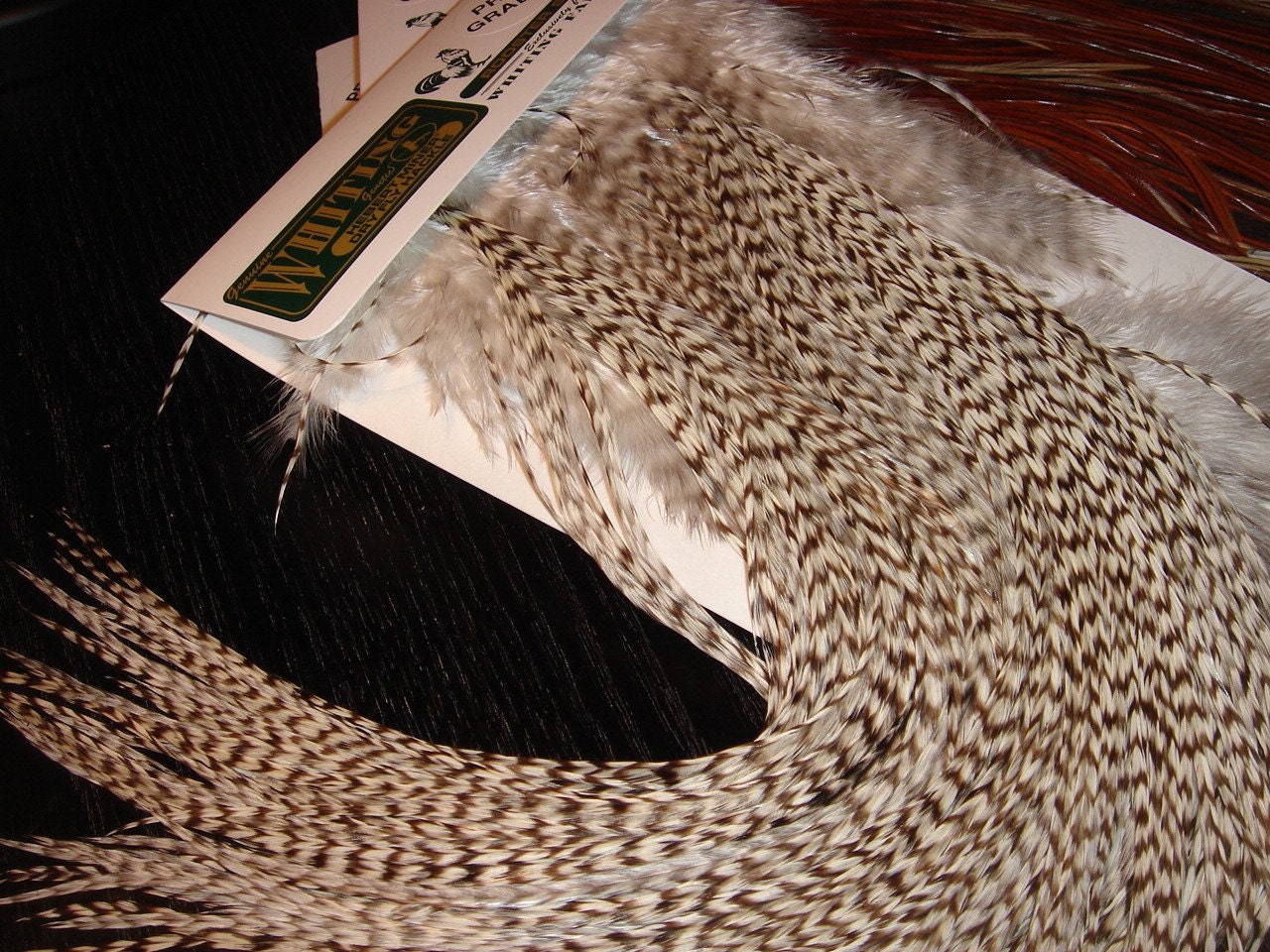 Grizzly Saddle Feathers