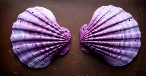 MERMAID SEASHELLS, custom costume piece designed by Traci Hines
