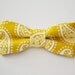 Bowtie Boys Ages 2-10 in Yellow Paisley