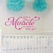 Such A Big Miracle Vinyl Lettering