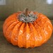Small Orange Dryer Vent Pumpkin