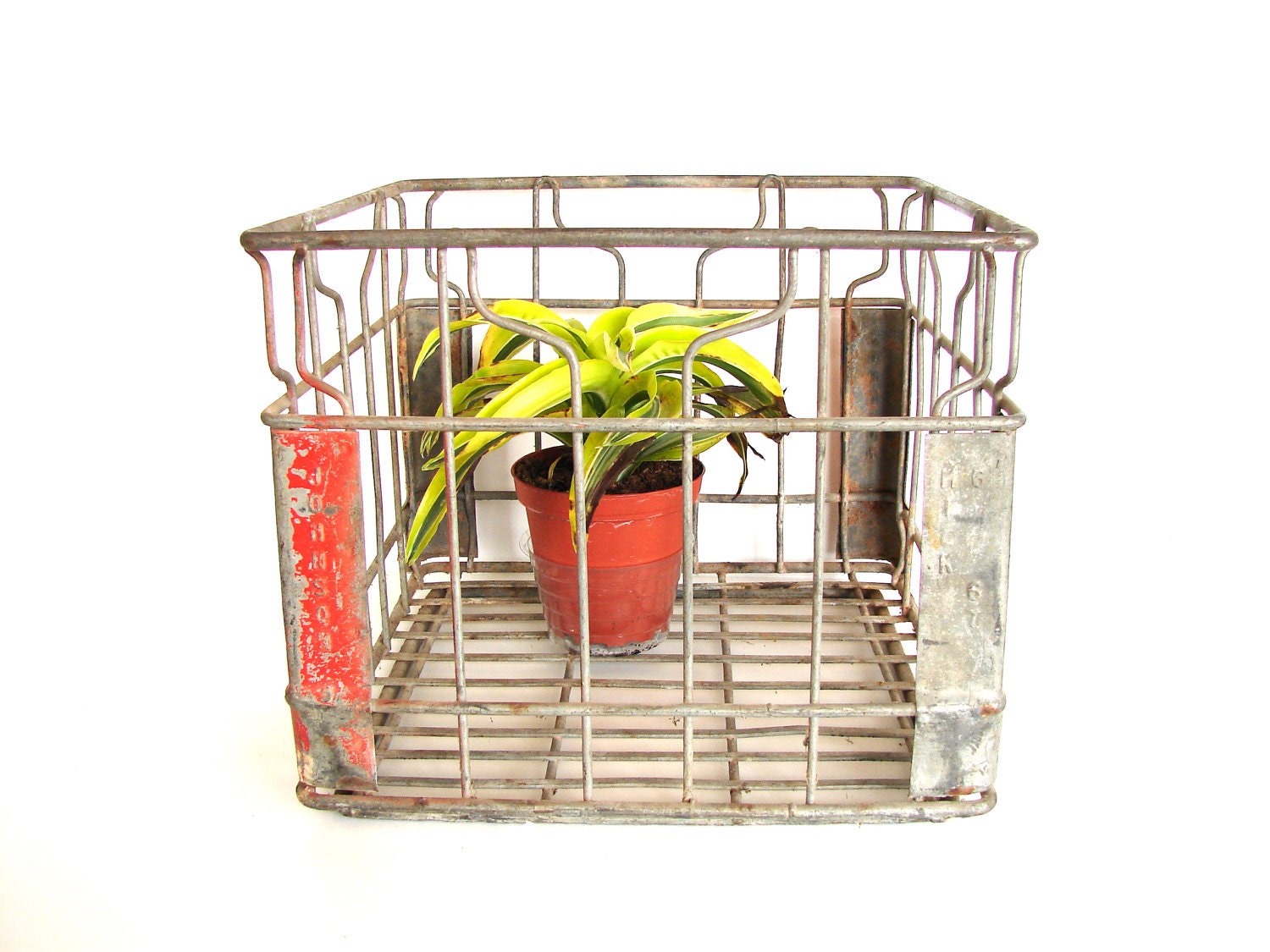 Vintage Metal Dairy Crate / Wire Milk Crate (c1940s) - Industrial Decor, Storage, and more