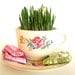 Grow-It-Yourself Grass Kit in Vintage Tea Cup and Saucer - Spring Garden / Garden Party Decor, Centerpiece, Favors