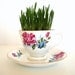 Grow-It-Yourself Grass Kit in Vintage Rose Pattern Tea Cup and Saucer - Spring Garden / Garden Party Decor, Centerpiece, Favors
