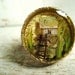 Birch Bark Tree House Ring no. 2