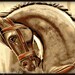 Carousel Horse Fine Art Set of 3 5x7 Photos "Days Gone By"