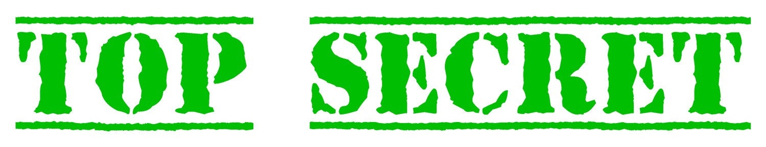 TOP SECRET for Teenagers Room or Door Vinyl Wall Art