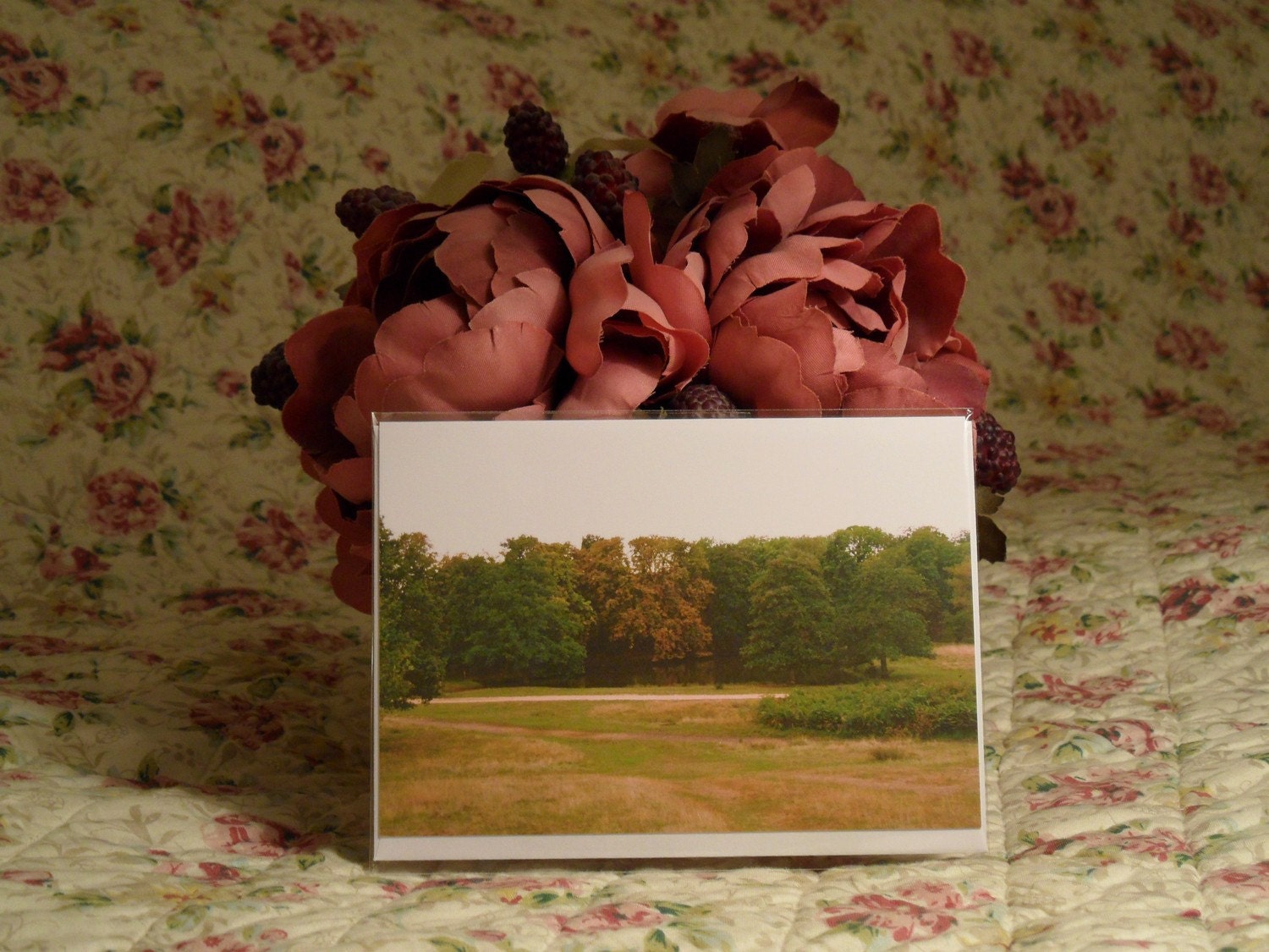 Ham Gate Pond, Richmond (Free UK P&P): GREETING CARD
