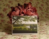 Richmond Hill Evening Sun & River Thames (Free UK post and packaging) GREETING CARD