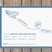 Airplane Birthday Party Invitation - perfect for an aviation birthday and can be custom designed for any color scheme (DEPOSIT)
