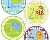 Monthly Onesie Stickers - Jungle Animals - For a baby girl or boy 1-12 months -  Perfect Gift for Mom to Be