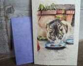 rescue...( a spirit's song ) cat love