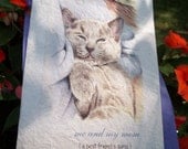 me and my mom ( a best friend's song ) cat love