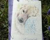 who rescued who ( a best friend's song ) dog love