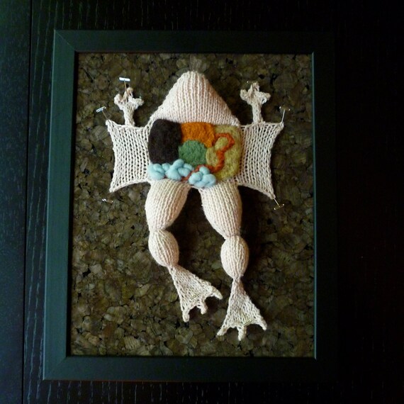 READY TO SHIP Knitted Dissected Frog