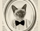 Cat  - mister cat with bowtie -collage 8x10 french dictionary book - cat poster - Art Print