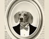 dog Beagle- 8x10" vintage dictionary book - Art Print
