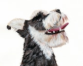 Schnauzer Dog Painting - print of gouache painting-  5 by 7 print