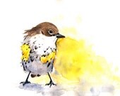 Yellow Rump Warbler Bird Painting- print of watercolor painting - 5 by 7 print
