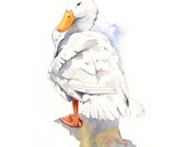 Duck Painting - nature wildlife art bird white -  print of watercolor painting  A4 print