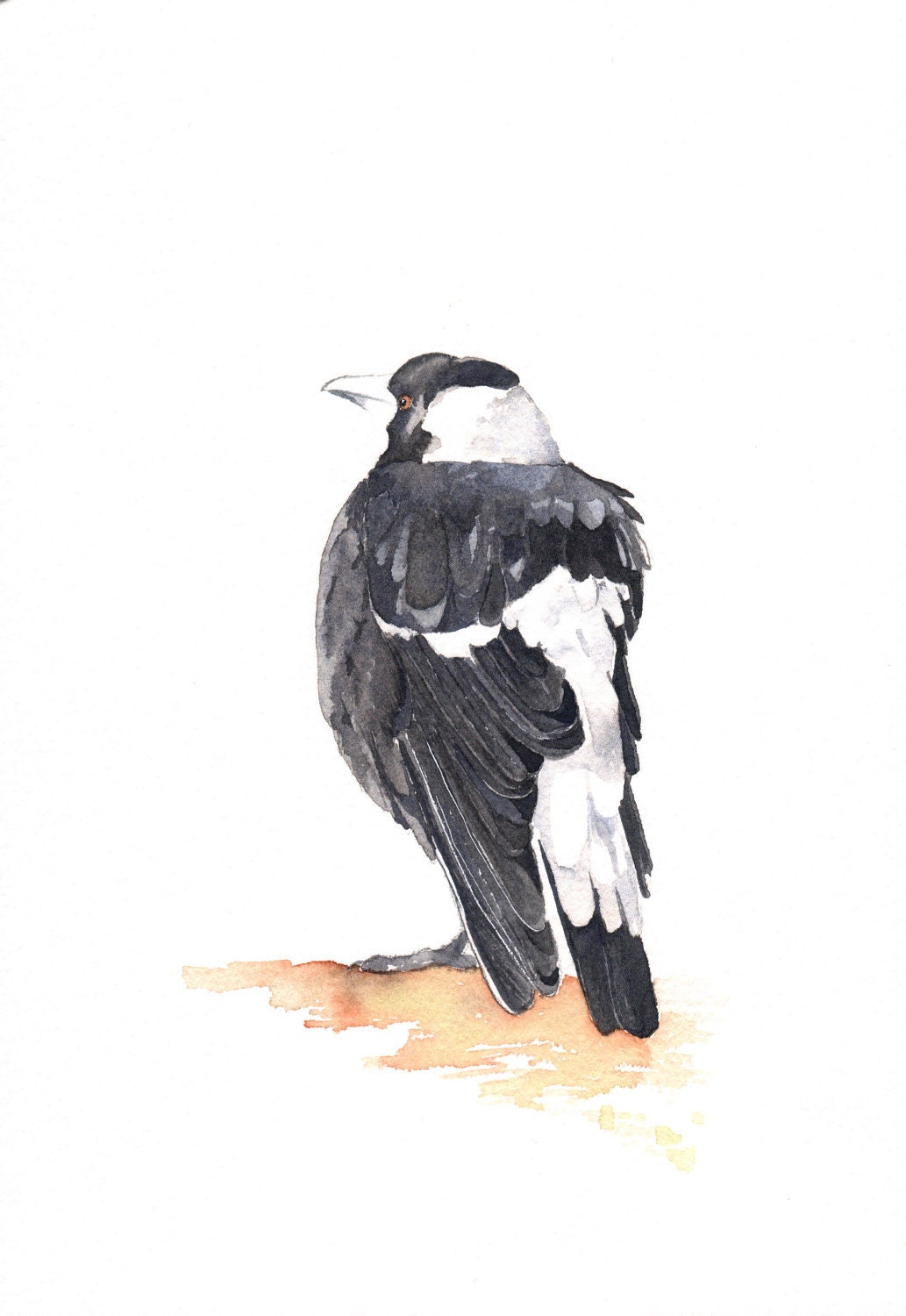 Magpie Painting - Bird wildlife nature art-  Print of watercolor painting 5 by 7 print
