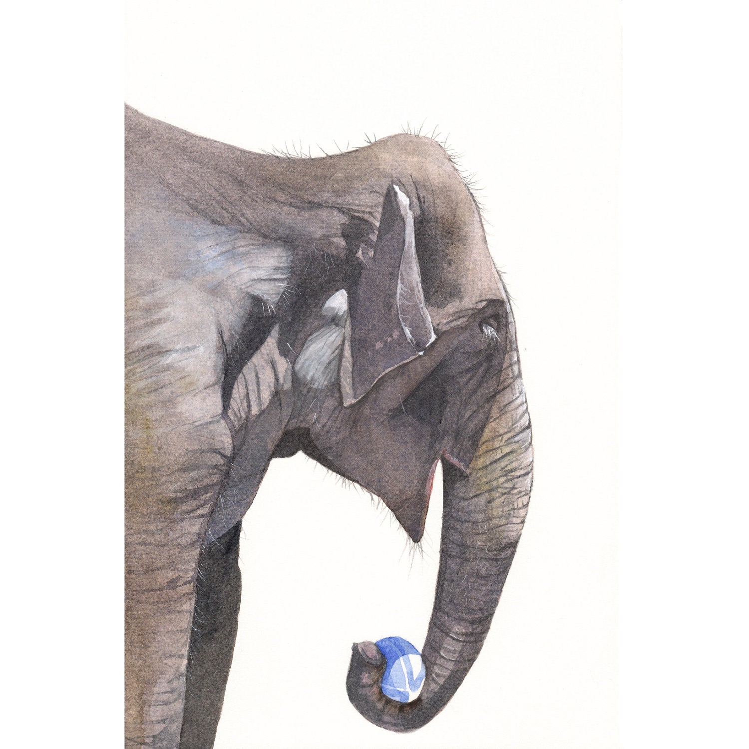 Elephant painting  E058 - print of watercolor painting - 5 by 7 print