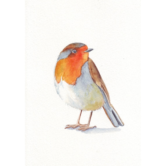 Robin painting -  ORIGINAL watercolor painting