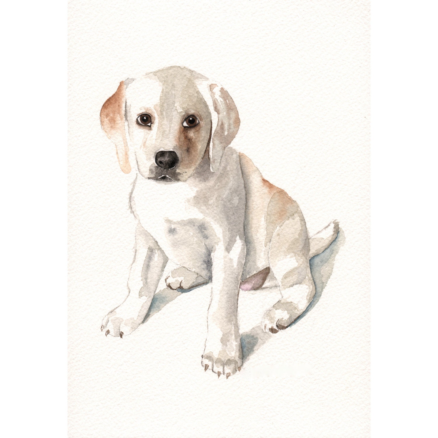 Custom Pet Portrait Pet watercolor original painting
