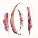 Eucalyptus Leaves Painting -E022- print of watercolor painting A4