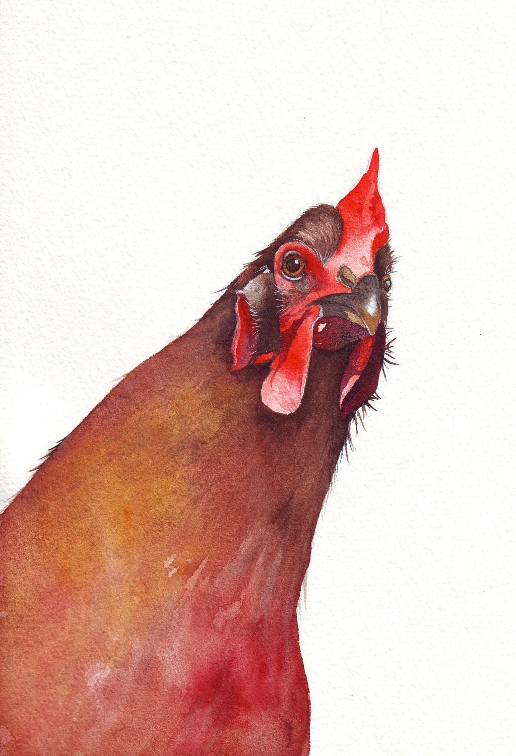 Watercolor Painting - Chicken watercolor painting  PRINT of watercolor painting A4