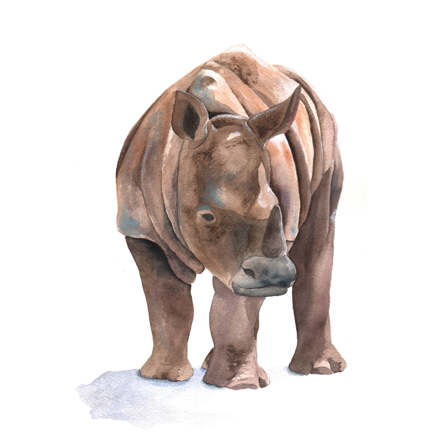 Rhinoceros PAINTING -   Print of watercolor painting A4
