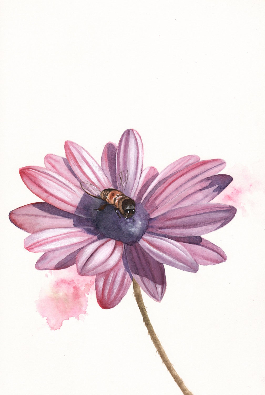 Daisy Painting - Print of Watercolor Painting - bee flower art- 5 by 7 print