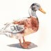 Duck painting -D068- PRINT of watercolor painting 5 by 7 print