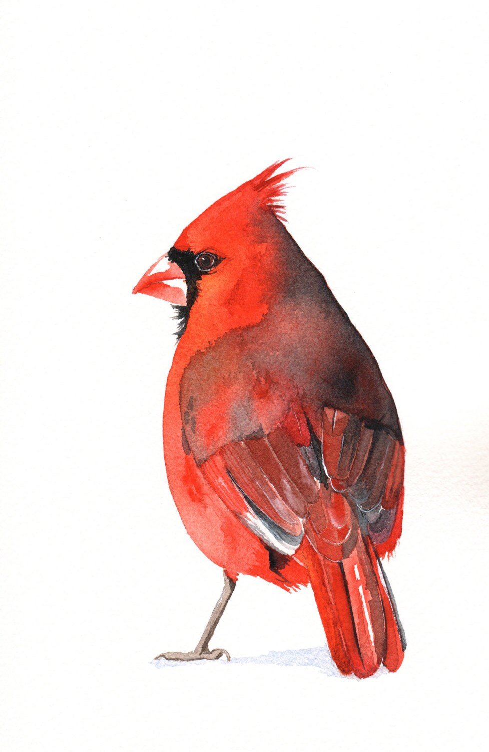 Cardinal Painting