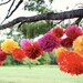Katey Collection- 5 Pom Poms- Mexican fiesta hanging decorations/ wedding decorations/ birthday party decorations