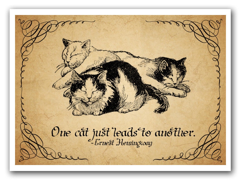 One Cat Just Leads To Another - 5x7 Print